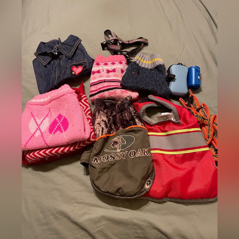 Dog Lot … Different Sizes and Items ..Everything for one price. Used Condition
